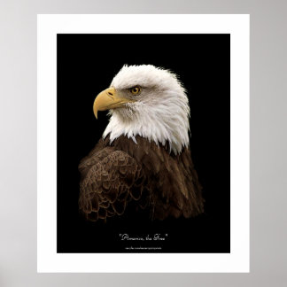 Impresión de Poster de vida silvestre de águila ca