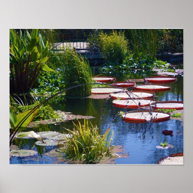 Impresión de Poster fotográfico de jardines de agu (Frente)