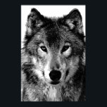 Impresión de Poster Gray Wolf<br><div class="desc">Retrato de lobo gris - Tonos grises cara del lobo gris - Arte pop universitario - Animales salvajes - Mundo de animales extremos - Imágenes de computadoras de lobos - Estilo de historieta digital Arte animal</div>