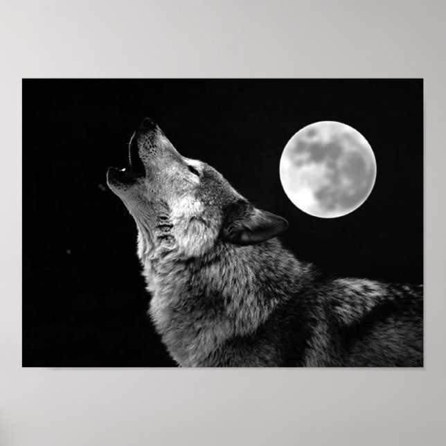 Impresión de Poster Gray Wolf & Moon (Frente)