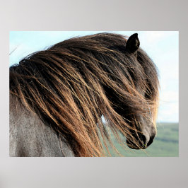Impresión de Poster islandés de retrato de caballo