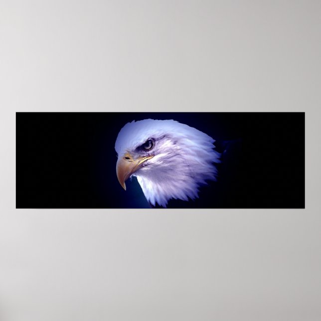 Impresión de Poster Panorámico Americano de Águila (Frente)