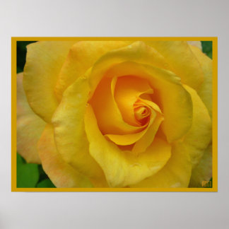 Impresión de Poster rosa amarillo con hermosa impr