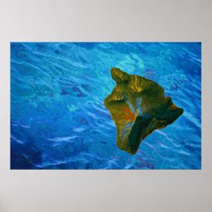 Impresión de Posters de Big Island y Blue Waters