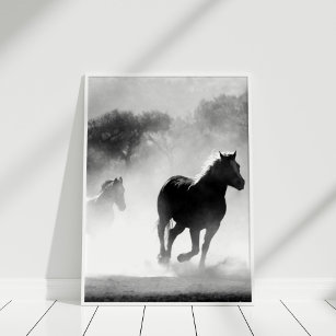 Impresión de Posters de caballos blancos y negros