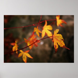 Impresión de Posters de otoño llorando
