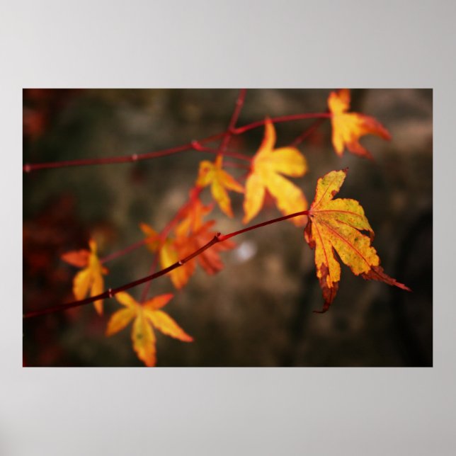 Impresión de Posters de otoño llorando (Frente)