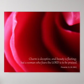 Impresión de Posters de Pink Rose Photography Prov