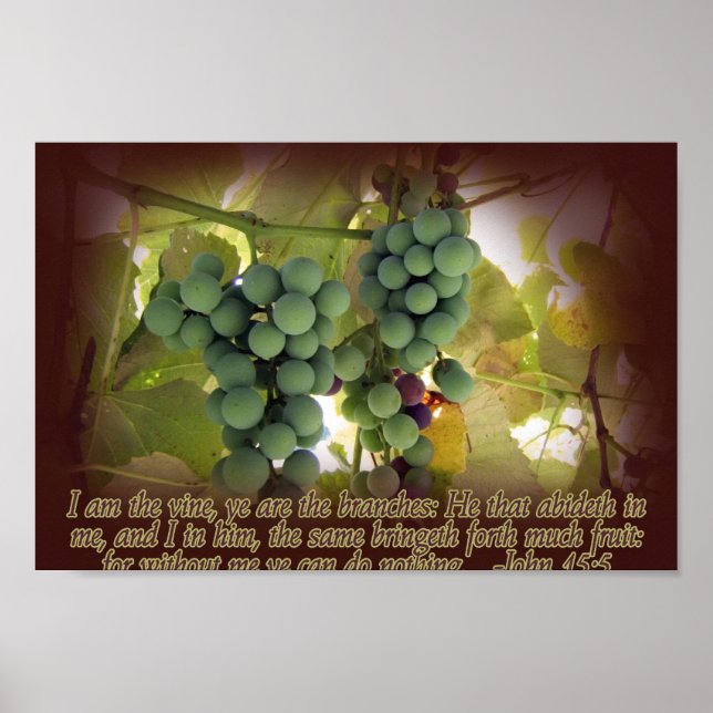 Impresión de Posters de Vine y Branches John 15:5 (Frente)