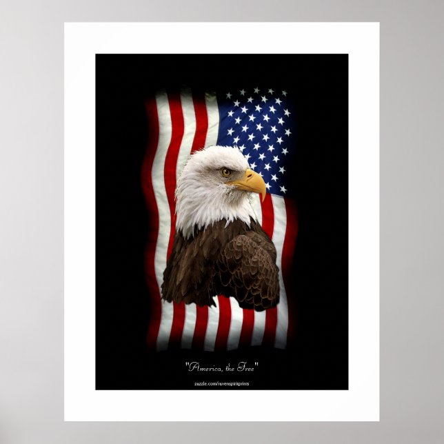 Impresión de Posters patrióticos de la bandera de  (Frente)