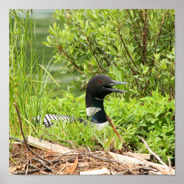 Impresión de préstamo de nidificación (Frente)