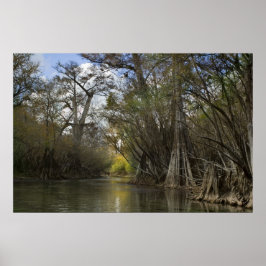 Impresión de primavera de otoño