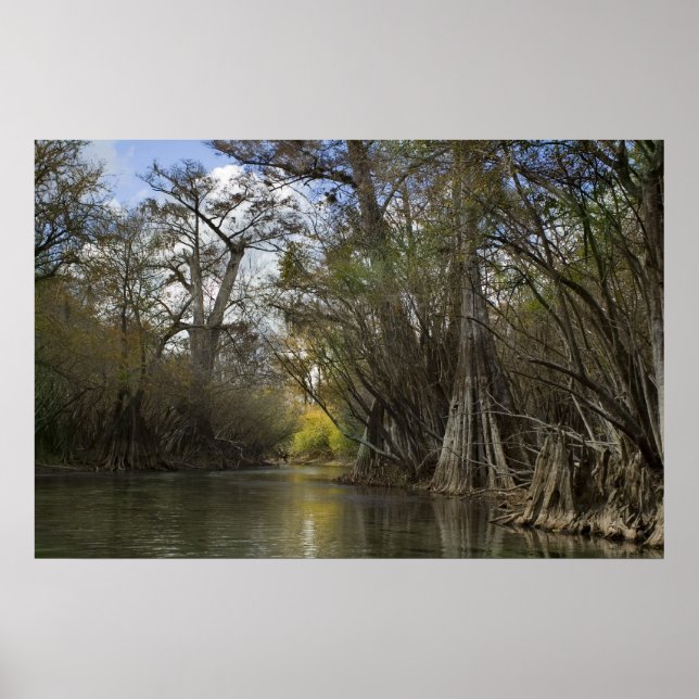 Impresión de primavera de otoño (Frente)