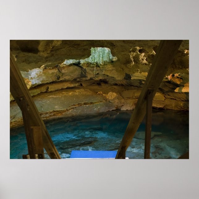 Impresión de primavera subterránea (Frente)