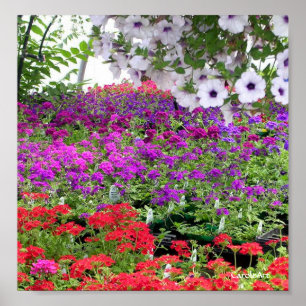 Impresión de profusión de flores moradas