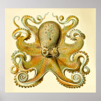 Impresión de pulpo sobredimensionado por Haeckel d
