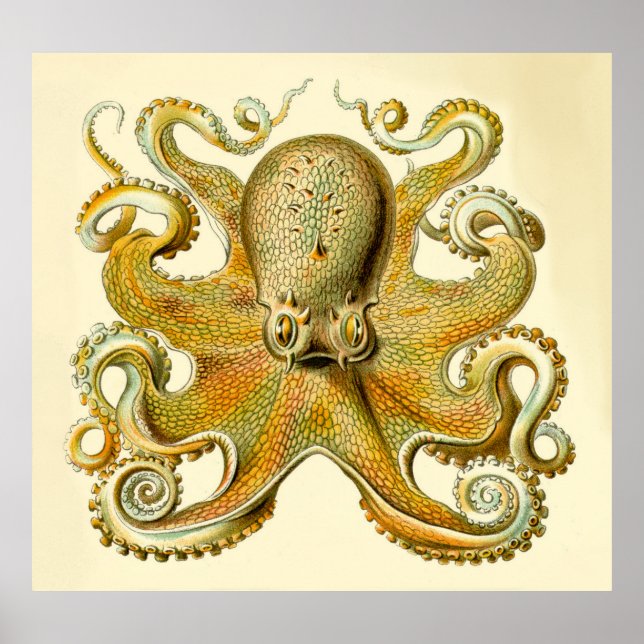 Impresión de pulpo sobredimensionado por Haeckel d (Frente)