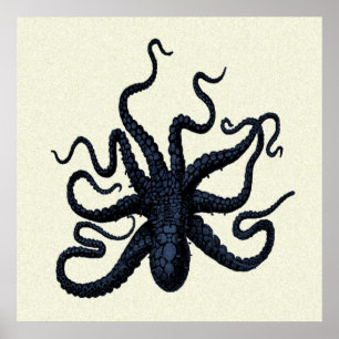 Impresión de pulpo visto