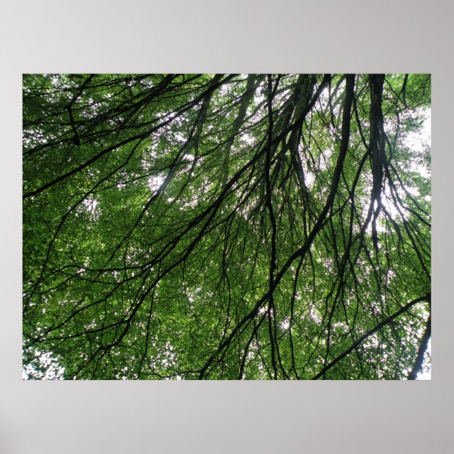 Impresión de ramas y hojas (Frente)