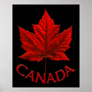 Impresión de recuerdo de hojas de arce de Canadá P