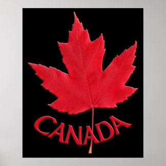 Impresión de recuerdo de hojas de arce de Canadá P
