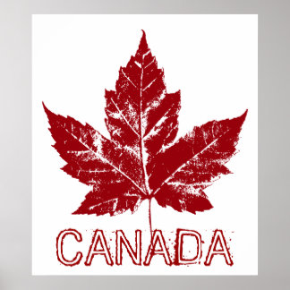 Impresión de recuerdo de hojas de arce de Canadá P