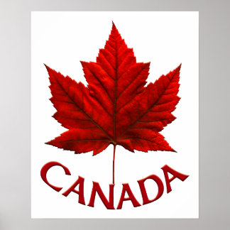 Impresión de recuerdo de hojas de arce de Canadá P