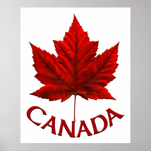 Impresión de recuerdo de hojas de arce de Canadá P (Frente)