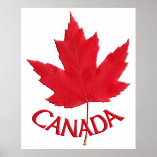 Impresión de recuerdo de hojas de arce de Canadá P