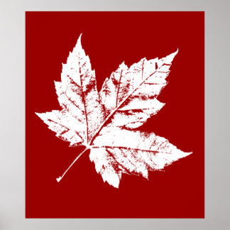 Impresión de recuerdo de hojas de arce de Canadá P