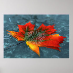 Impresión de reflejo