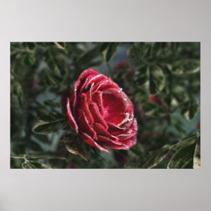 Impresión de regalo de despedida de invierno