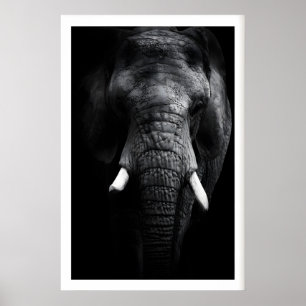Impresión de retrato de elefante, negro y blanco, 