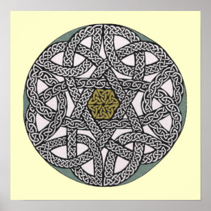 Impresión de rosa blanco