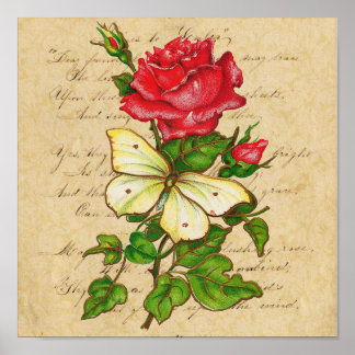 Impresión de Rosa y mariposa