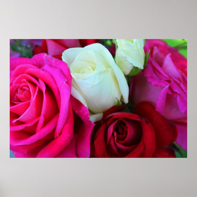 Impresión de rosas (Frente)