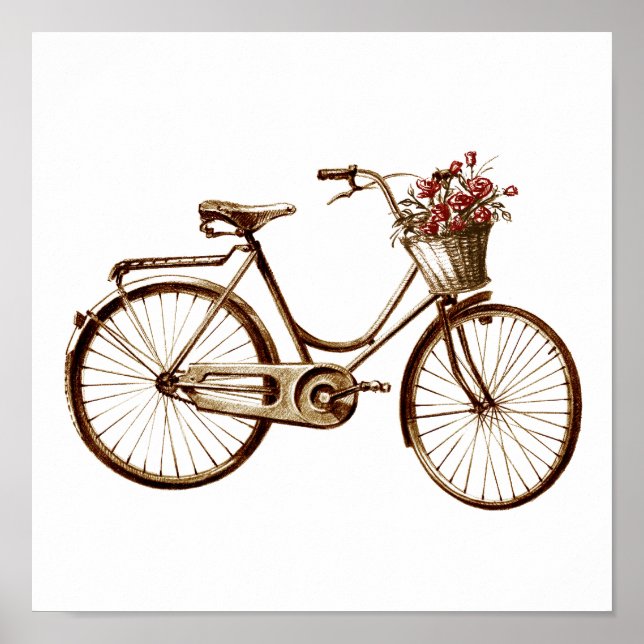 Impresión de Rosas de flores de cesta de bicicleta (Frente)