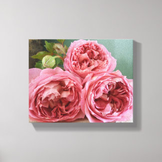 Impresión de Rosas ingleses de David Austin Herita