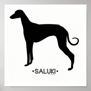 Impresión de Saluki