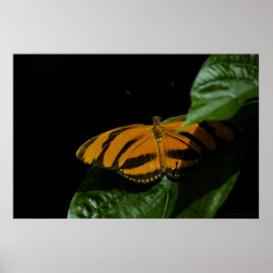 Impresión de secado