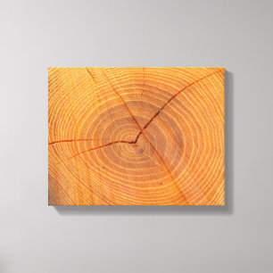 Impresión de sección transversal de árbol de acaci