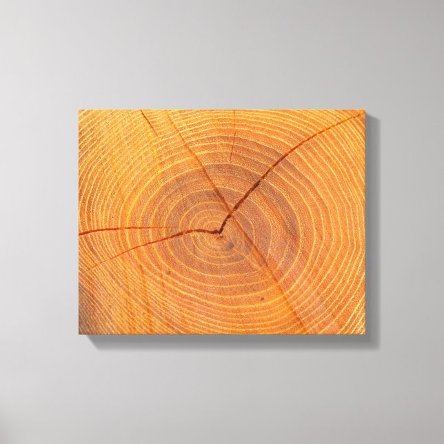 Impresión de sección transversal de árbol de acaci (Anverso)