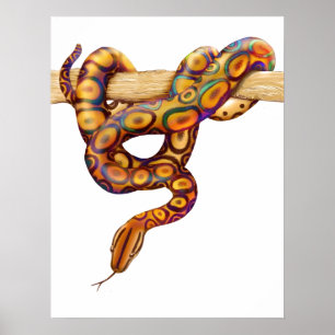 Impresión de serpiente con barbilla de arcoiris