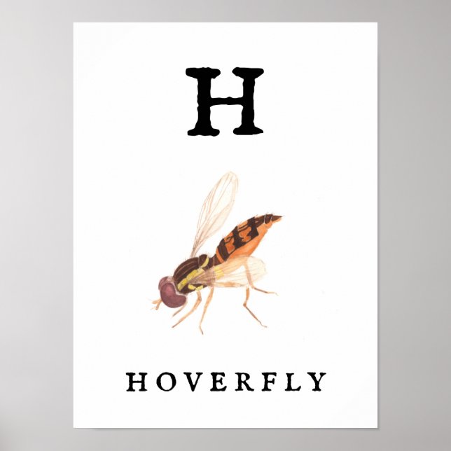 Impresión de sobrevuelo "H", papel Poster de valor (Frente)