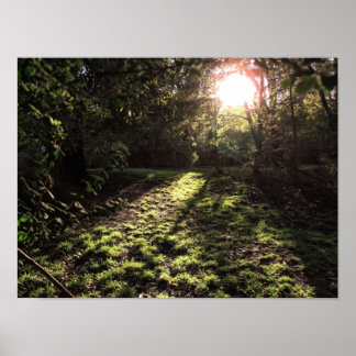 Impresión de sol de jardín
