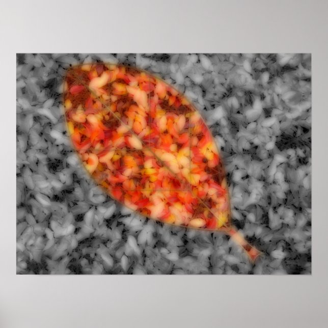 Impresión de sombras brillantes (Frente)