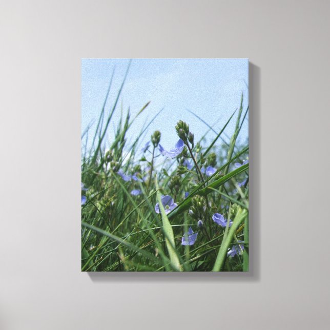 Impresión de sombras de flores (Anverso)