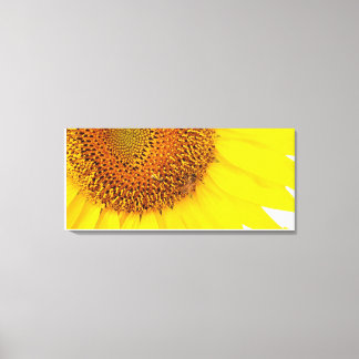 Impresión De Sombras Y Lienzo De Abejas