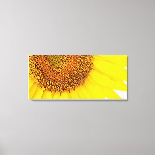 Impresión De Sombras Y Lienzo De Abejas (Anverso)