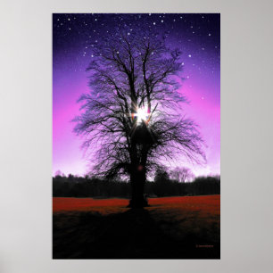 Impresión de Sun-Tree-Stars
